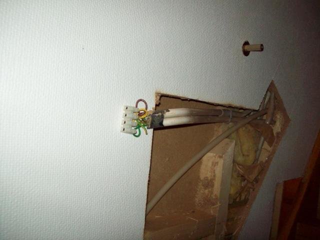 100_0011.jpg
