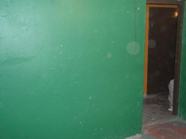 PA290286.jpg