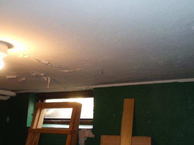 PA290289.jpg