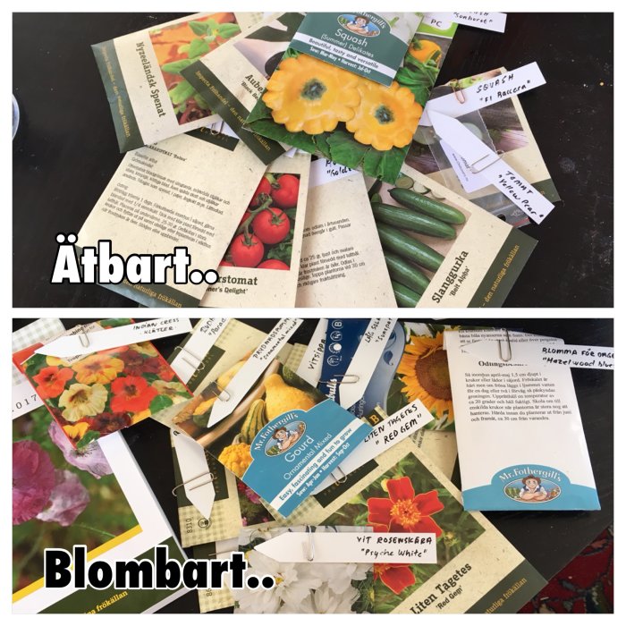 Fröpåsar och handskrivna etiketter för tomat, gurka, squash och blommor på ett bord, planering för såsäsongen.