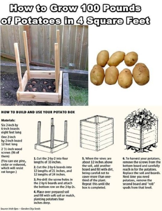 En guide för att odla potatis i en låda med ritningar och steg-för-steg instruktioner samt bild på råpotatis.