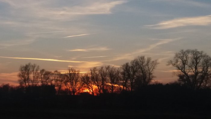 Solnedgång bakom träd, molnstrimmor på himlen, orange och blå toner, vacker aftonhimmel.