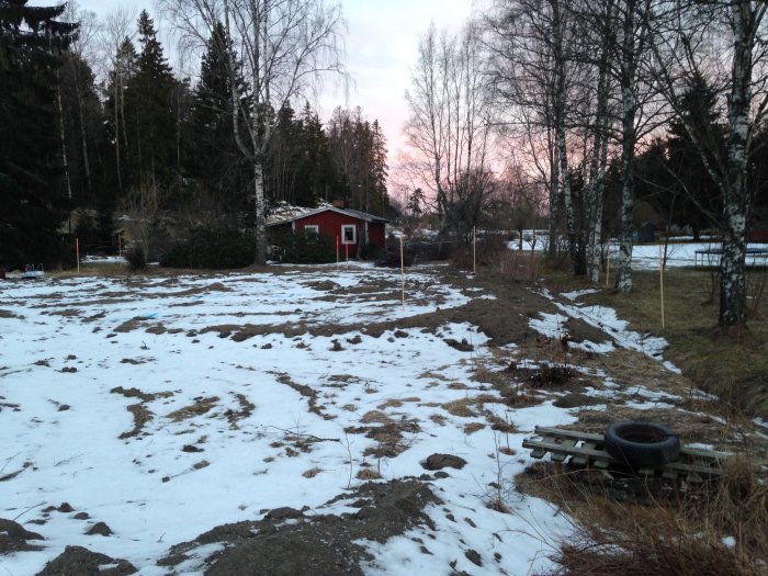 Tomt med höjd leråker i vinterskrud och gryning med ett rött hus i bakgrunden.