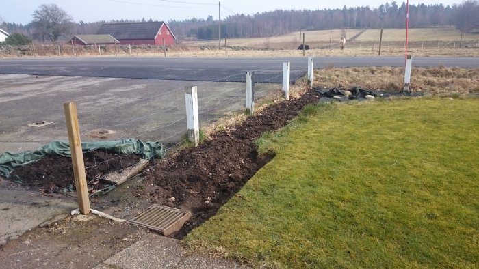 Uppgrävd gräsmatta längs staketförsedd tomtgräns i förberedelse för rabattbyggande.