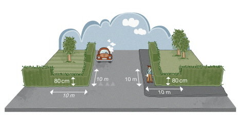 Illustration av tomtindelning med mått 80 cm och 10 meter, bil och träd inkluderade.