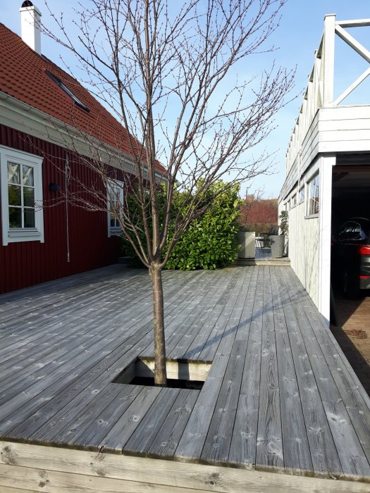 Nio år gammal grå soptad altan av tryckt virke med öppning för ett träd framför rött hus med garage.