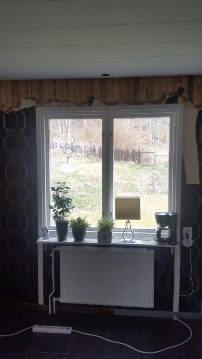 Bild på ett befintligt fönster i köket med synlig omgivning, inklusive växtlighet utanför och en radiator under fönstret.