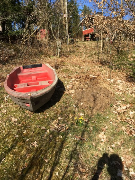 Omvänd plasteka bredvid en myrstack i en trädgård med röd stuga i bakgrunden.