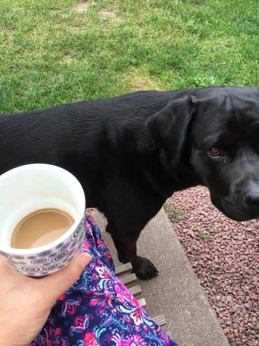 Person som håller en kaffekopp med en svart hund bredvid på en trädtrappa utomhus.