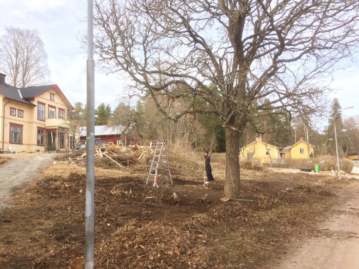 Rensat framför hus med högar av grenar och en person nära en stege, med träd och gula hus i bakgrunden.