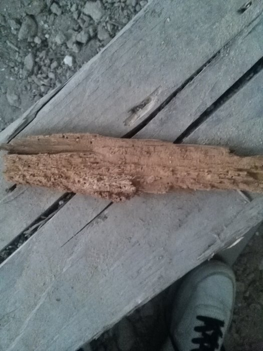 Delvis söndersmulat träbjälke med tecken på fuktskador, synlig smulning vid nedankant mot grusig undergrund.