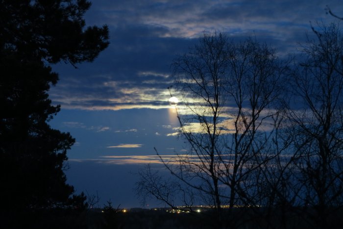 Fullmåne som belyser himlen med trädens silhuetter i förgrunden över Södertälje på kvällen.