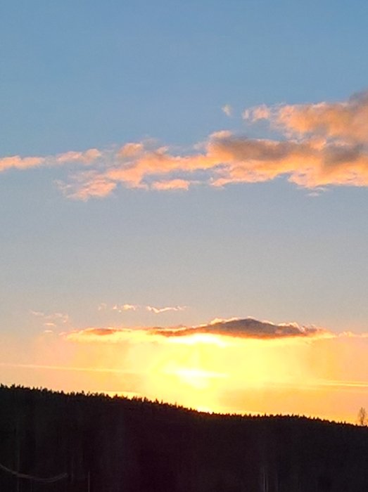 Solnedgång med orange moln och silhuetter av träd under ett mörknande himmel.