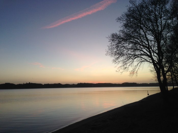 Solnedgång vid Limfjorden i Danmark med silhuetter av träd och rosa himmel över vattnet.