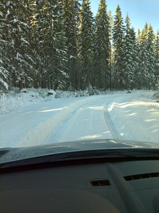 Utsikt från bilen av en snötäckt skogsväg med blå himmel synlig längst upp.