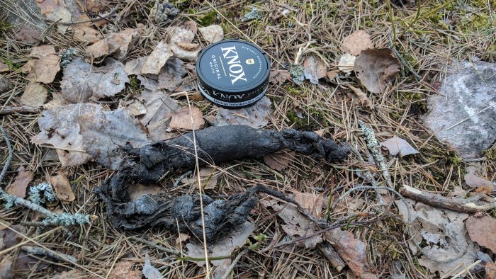Stor spillning med hår i skogsmiljö bredvid en snusdosa för storleksjämförelse.