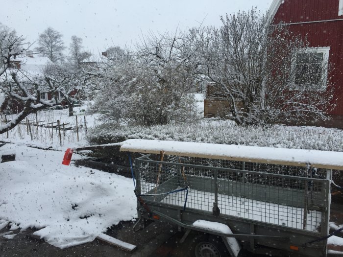 Snötäckt trädgård och släpvagn med byggmaterial framför rött hus.