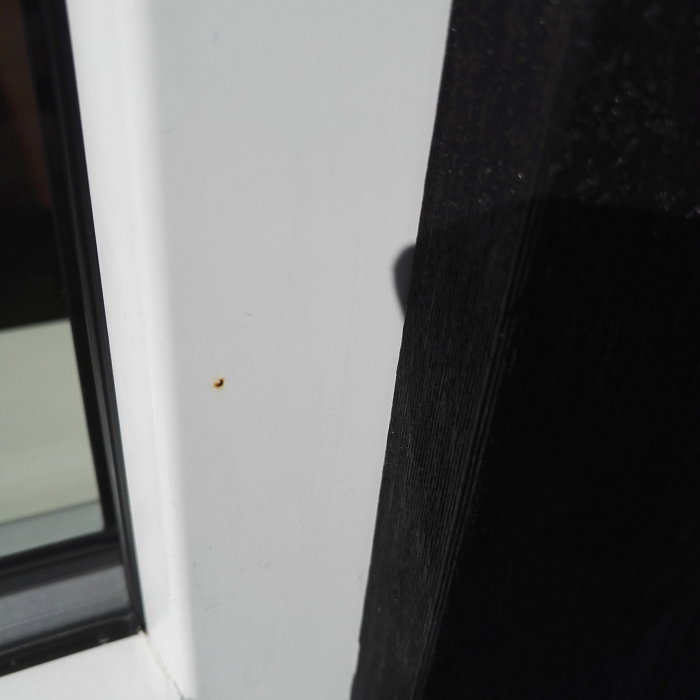 Närbild på ett vitt PVC-fönster med en liten rostig dyckert som sticker ut.
