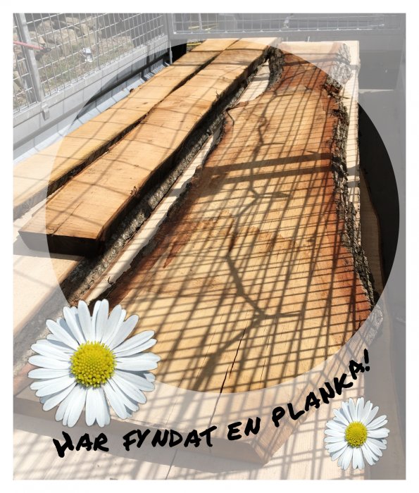 Ekplanka med naturlig kantring och bast, som ligger på en balkong med skuggor och dekorerad med prästkragar.