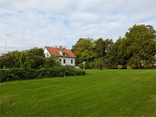 Baksidan av ett hus med stora gräsytor och höga träd, potentiell plats för ett markplansträdäck.