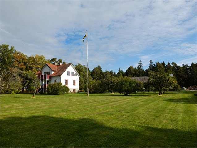 Husets baksida med stort gräsområde och svensk flagga på flaggstång, skog i bakgrunden.