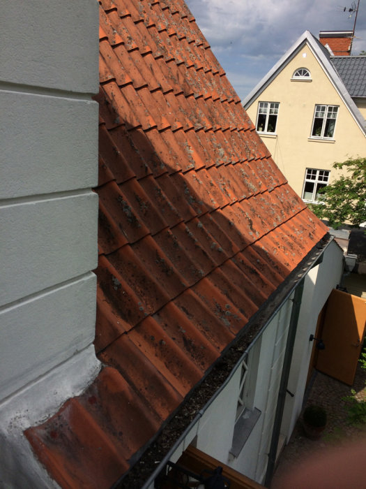 Tegeltak med mossa och alger före rengöring, sedd från ovansida av byggnad.