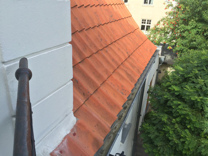 Bild på ett rött tegeltak innan rengöring med mossa nära takfoten, omgivet av grönska och byggnader.