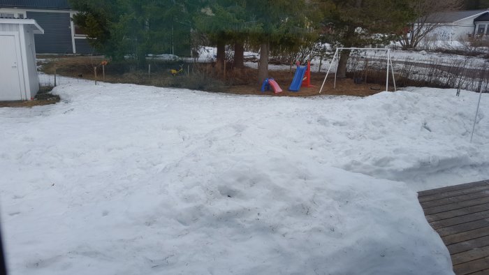 Trädgård med snötäckt gräsmatta och lekställning i bakgrunden, snösmältning övervägs.