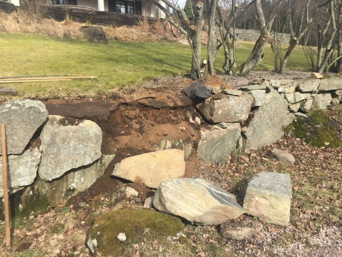 Delvis rasad stenmur med lösa stenar framför och intill, i en trädgård med gräsmatta i bakgrunden.