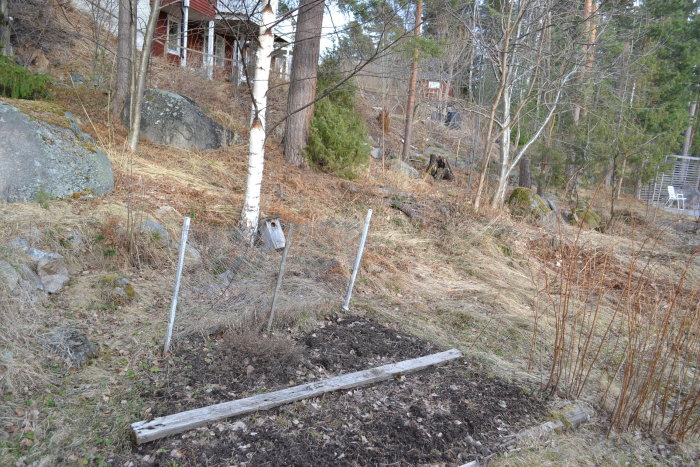 Skogstomt med beränsad växtkraft, en del rensad med trädstumpar, och ett hus i bakgrunden.