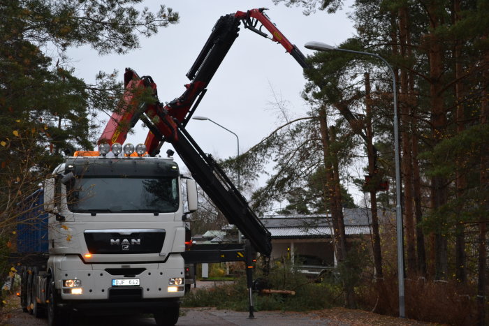 Lastbil med kran lyfter bort en tall nära ett hus, trädfällningsarbete i en trädgård.