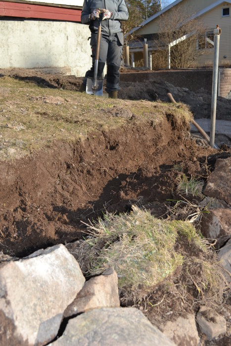 En person som gräver bort gräsmatta för att förbereda anläggning av en perennrabatt, med stora stenar och jord synlig.