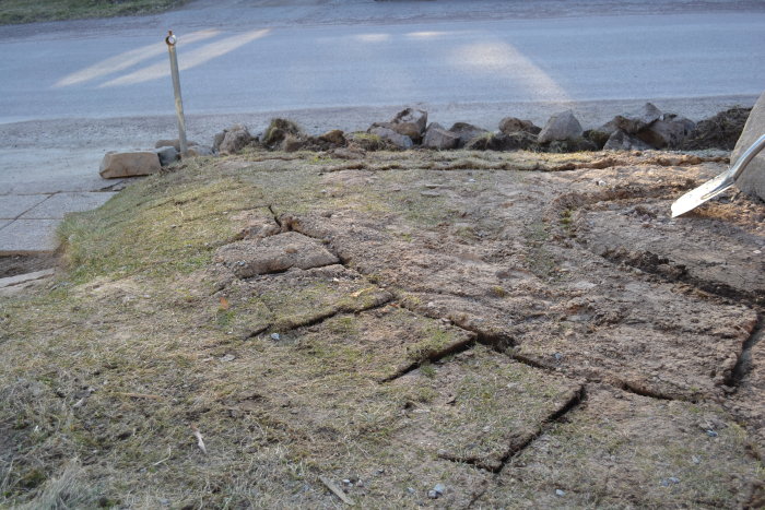 Grävd mark framför huset med borttagna grästycken och synliga naturstenar, redo för perennrabatt anläggning.