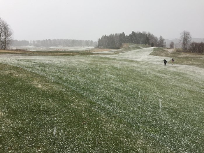 Golfbana i snöfall, där lätta snötäcken på gräset skapar en kontrast av vitt mot det mörkare underlaget.