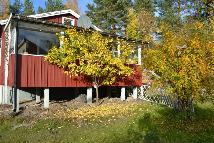 Ett rött uterum byggt på eternitpelare, anslutet till ett hus, omgivet av träd i höstfärger med löv på marken.