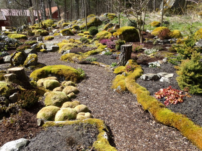 Mossbelupna stenar och stockar i en solbelyst skogsträdgård med vårblommor och grönska.