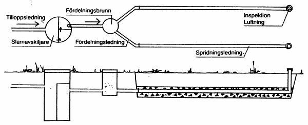 Skiss av enskilt avloppssystem med slamavskiljare, fördelningsbrunn och infiltration.