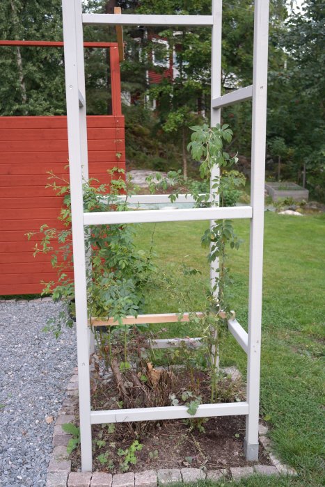 Nybyggt vitt trädgårdstorn med klättrande gröna växter och ett rött plank i bakgrunden.
