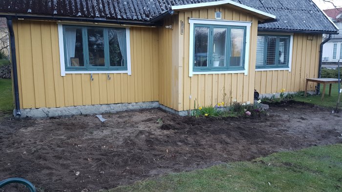 Nygrävd trädgårdsyta med borttagna buskar vid gult hus med blommande växter kvar.