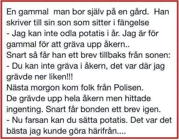 En skärmdump av en text som berättar en historia om en gammal man, hans son i fängelse och ett skämtsamt missförstånd om att gräva i en åker.