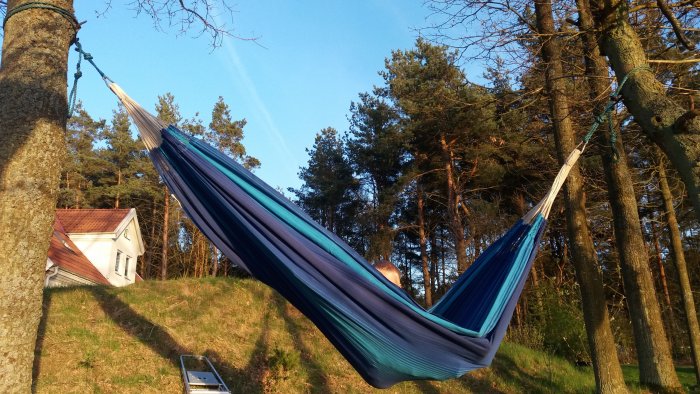 Hängmatta mellan träd i trädgård med nyslaget gräs och hus i bakgrunden.