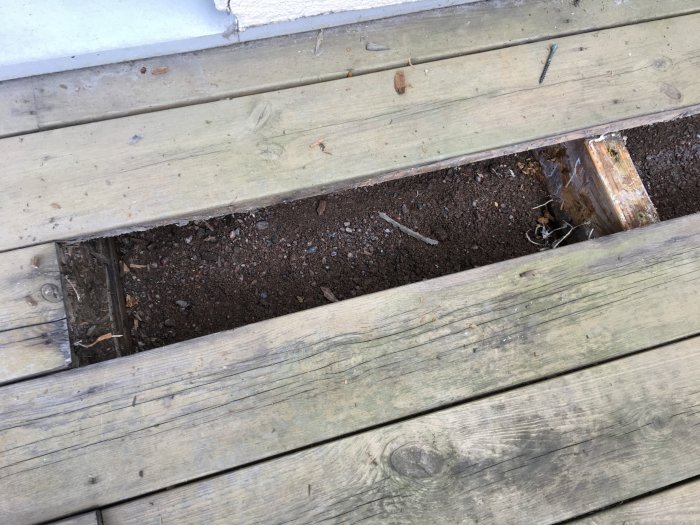 Del av ett ruttnande trädäck med upptaget golvbräde som avslöjar fuktigt underlag.