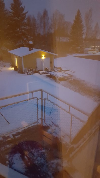 Täckt av snö: En bakgård med upplyst skjul, snötäckta träd och snöfall i skymningen.