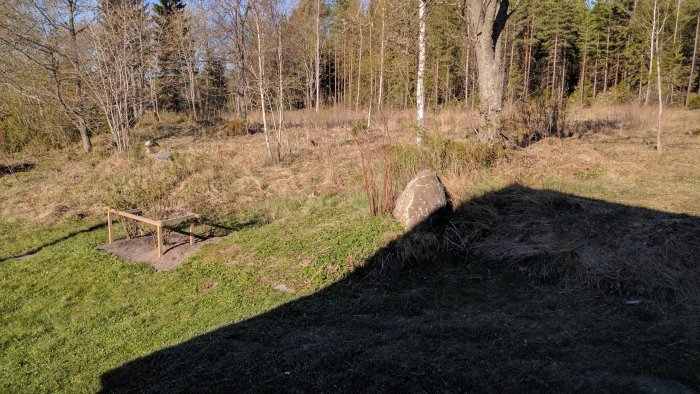 Skuggig trädgård med gräsmatta, en sten, en träbänk och skog i bakgrunden under klart väder.