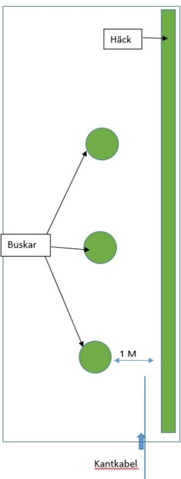 Schema över trädgård som visar planerad kabeldragning nära en häck och runt buskar med avståndsmarkeringar.