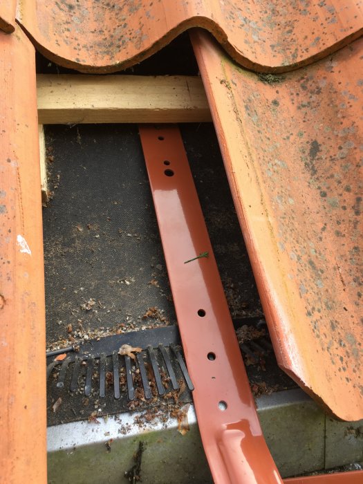Takpannor, taksteg, metallgaller för vindsventilation eller snörasskydd, träbjälkar, smuts och lövansamling.