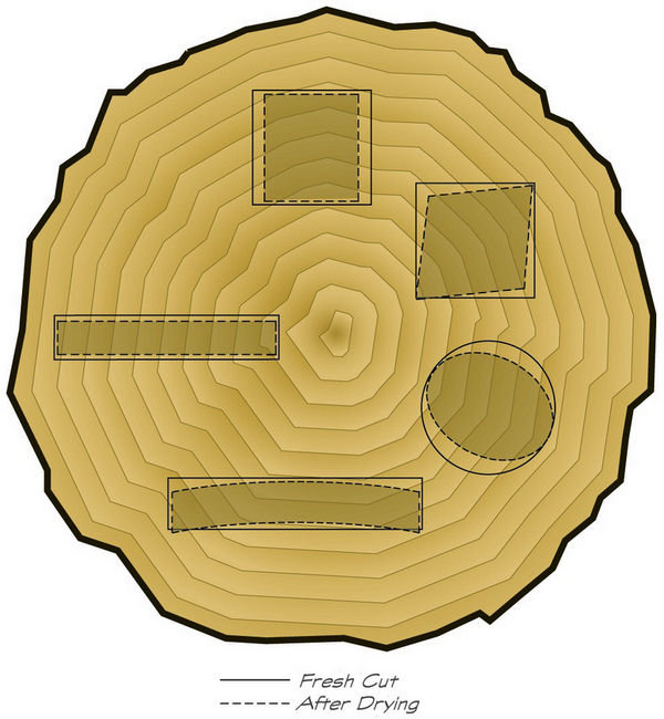 Illustration av trästam tvärsnitt som visar hur trä krymper efter torkning med markeringar för olika snitt.