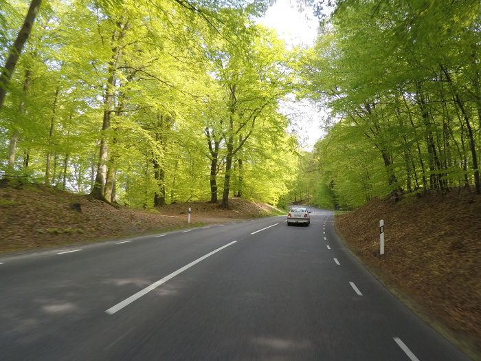Bilväg omgiven av frisk grönskande lövskog på väg från Snogeholm mot Sjöbo, vårljus filtret genom träden.