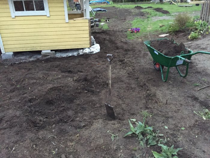 Nygrävd trädgårdsmark med spade och grön skottkärra framför ett gult hus.