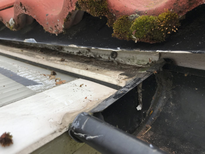 Fönsterhörn, smuts, spindelnät, mossa på takpanna, behov av rengöring, ledning, gammalt, försummelse, utomhus.